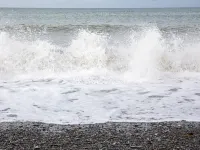 Inn on the Shore Hotels in Deviock