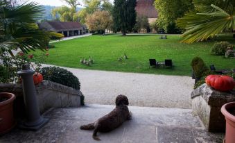 Château de Vault de Lugny