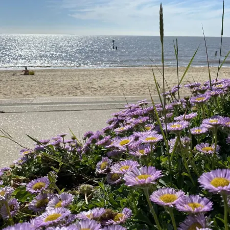 St Marys View, Southwold Отели в г. Саутволд