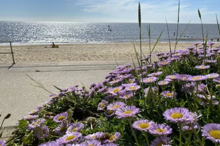 St Marys View, Southwold