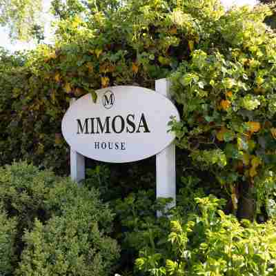 Mimosa House Others
