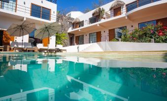 Casa de la Ballena