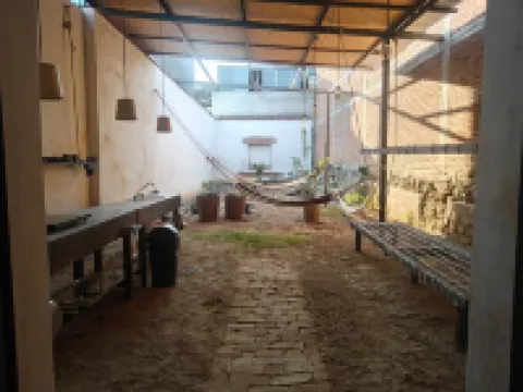 Iguana Coliving