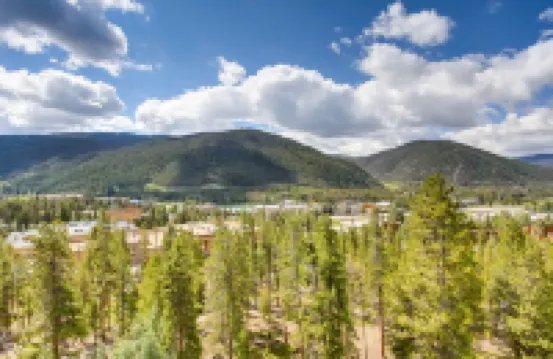 Spacious Penthouse 3Br ~No Cleaning Fee~Kids Ski Free! 3 Bedroom Condo by RedAwning