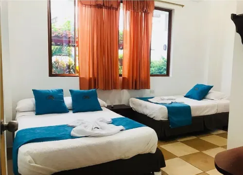 Hostal Gosén - Homestays
