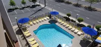 Sea Hawk Motel - en bord de mer
