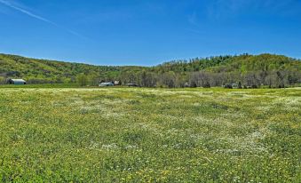 Renovated KY Farmhouse Retreat w/ Pasture Views! - Housity