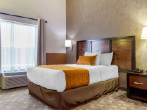 コンフォート イン チワワ チワワのホテル