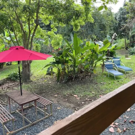 The Casita Amarilla del Yunque