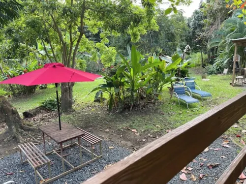 The Casita Amarilla del Yunque