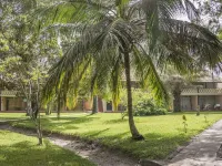 Senegambia Beach Hotel Hotels near The Senegambia Tourist Strip