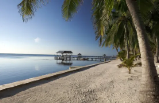 Luxury 250' long Beachfront-Pool,Horse Fountain, Snorkeling, Volleyball & Chef!