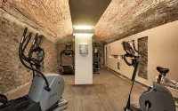 拉美瑞典娜湖 SPA 酒店 - 健身室/gym room