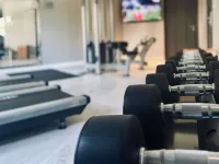Hôtel Mercure Dijon Centre Clemenceau - Gym