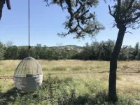 Surya Nature Retreat on 40 Acres with Amazing Views!