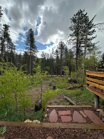 Beautiful Year Round - Creekside Cabin - Near RMNP - Dog Friendly