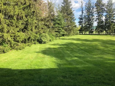 Joy in the Beauty of Nature