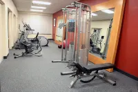 Hilton Garden Inn Chesapeake/Suffolk - Gym