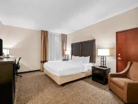 Comfort Inn & Suites Allen Park - Dearborn Hotels in Allen Park