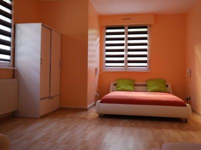 Apartment near Basel / Mulhouse Airport