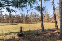 Forest House Hoeve de Zuidrand, Veluwe. Large garden, sauna, hot tub, privacy & alpacas Hotels in Lunteren