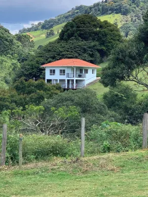 Citium, in keeping with nature, just 2.5 KM from the center of Gonçalves.