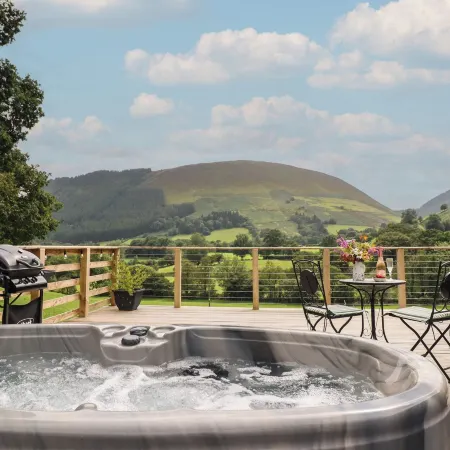 Caban Tirion Отели в г. Макинлет