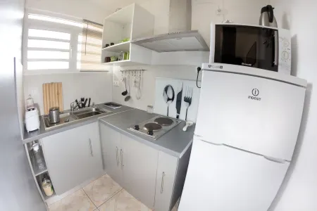 THE BAMBOO F1 St Joseph