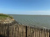 Green sailing: a stopover with your feet in the water فنادق في Barbatre