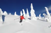 Ski In Ski Out Condo