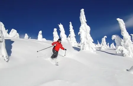 Ski In Ski Out Condo