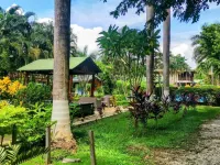 Explore Paradise-Palma Real cottage Hotels in Canas Dulces