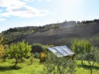 Apartment in Marche near Adriatic Beaches - Apartments