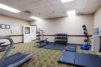 Quality Inn Oneonta Cooperstown Area - Træningscentre