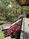 Charming Log Cabin on Beautiful Lake Butterfield