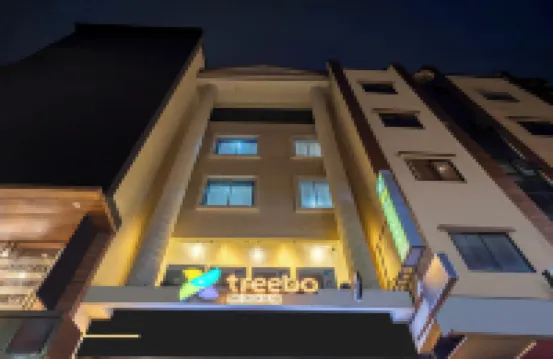 Treebo Green Olive