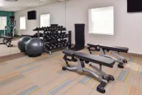 Holiday Inn Express & Suites MALL OF AMERICA - MSP AIRPORT by IHG - Phòng tập thể hình