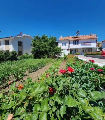 Yesilhan Pansiyon - Pet friendly