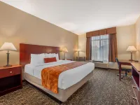 Best Western Plus Louisville Inn  Suites Hotels in Boulder County
