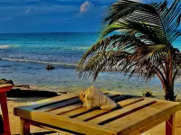 Turtle Beach Sanctuary Utila -  Ferienhäuser