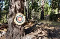 Near Hikes: Arnold Cabin w/ EV Charger & Fire Pit - 3-Star