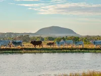 Sunshine Coast Hinterland Retreat - Yandina Station Hotels in Coolum Beach