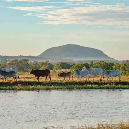 Sunshine Coast Hinterland Retreat - Yandina Station Hotels in Coolum Beach