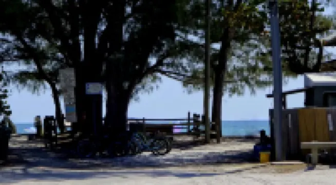 Charming 2br / 1ba Cottage < 2 Min Walk From Beach on Anna Maria Island Florida