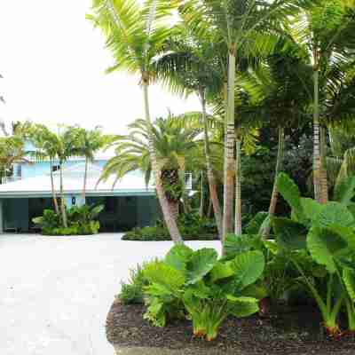 Midnight Runner in Islamorada Hotel Exterior