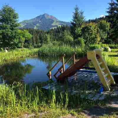 Charming Apartment in Sankt Johann in Tirol with Private Entrance Others