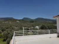 Grand Alver Otel Hotels in Edremit