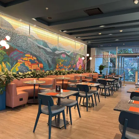 Ibis Medellin