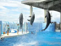 Hotel Saika Hotels near إينوشيما