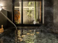 Superhotel Premier Toyama Castle Park - Thermen